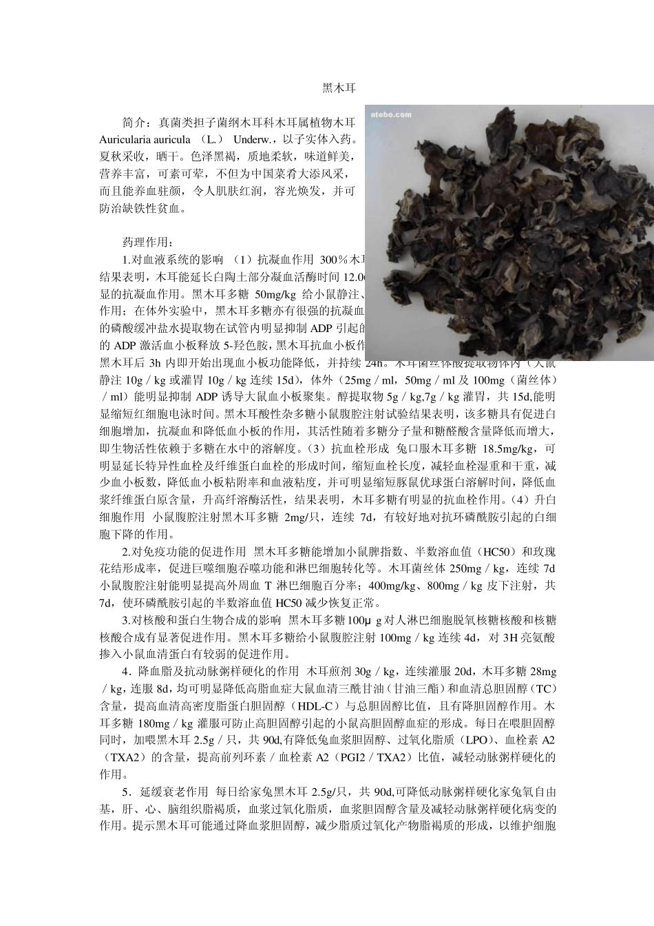 简介真菌类担子菌纲木耳科木耳属植物木耳Auricularia_第1页