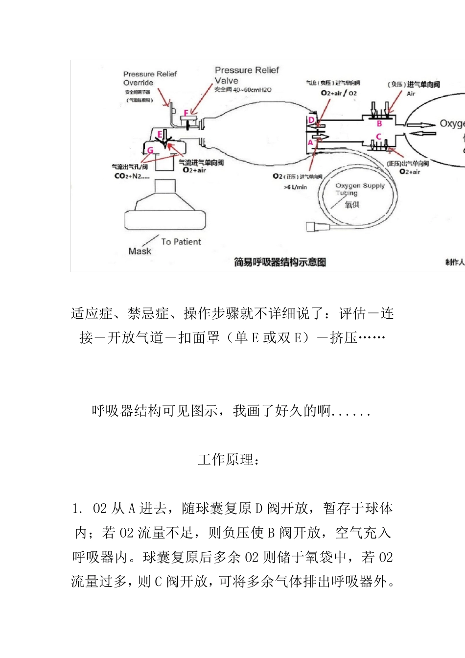简易呼吸器的结构及原理_第2页