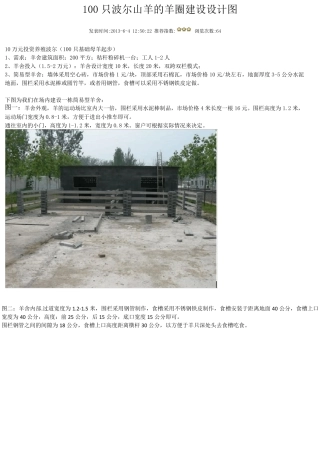 简易羊舍建造