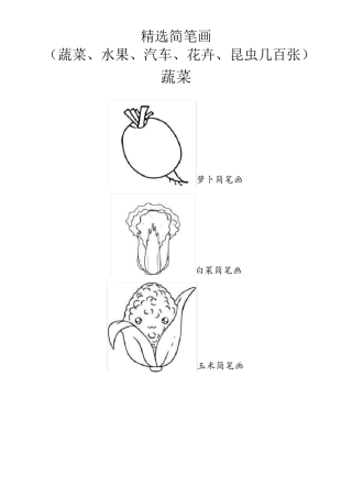 简笔画(蔬菜、水果、汽车、花卉、昆虫)