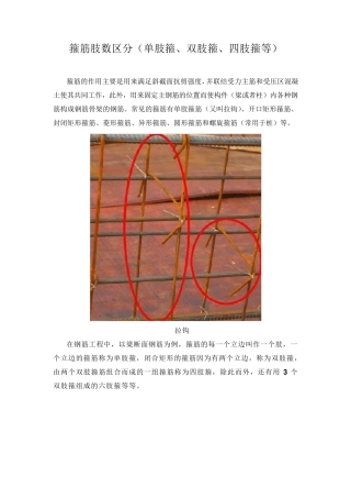 箍筋肢数区分(单肢箍、双肢箍、四肢箍等)