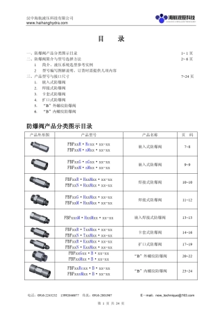 管路防爆安全阀
