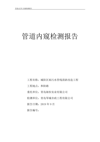 管道CCTV检测报告