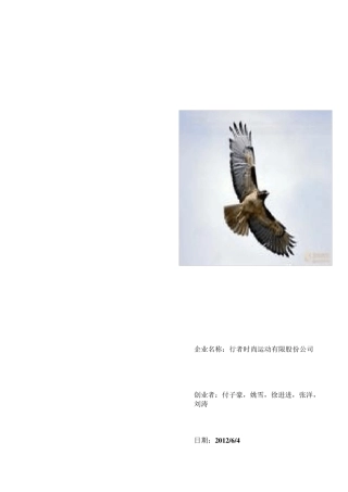 篮球企业创业计划书