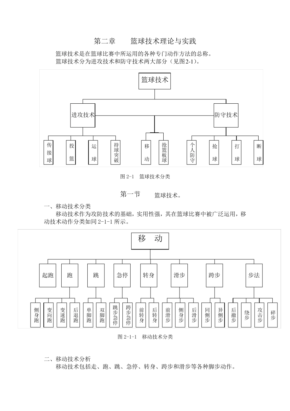 篮球运动概述_第3页