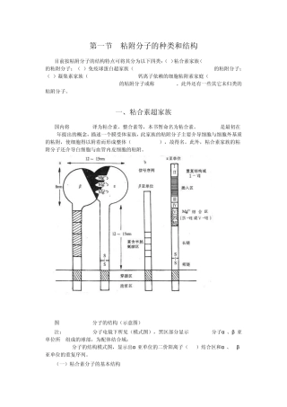 粘附分子概念及介绍