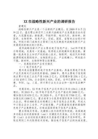 XX市战略性新兴产业的调研报告