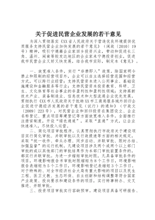 关于促进民营企业发展的若干意见