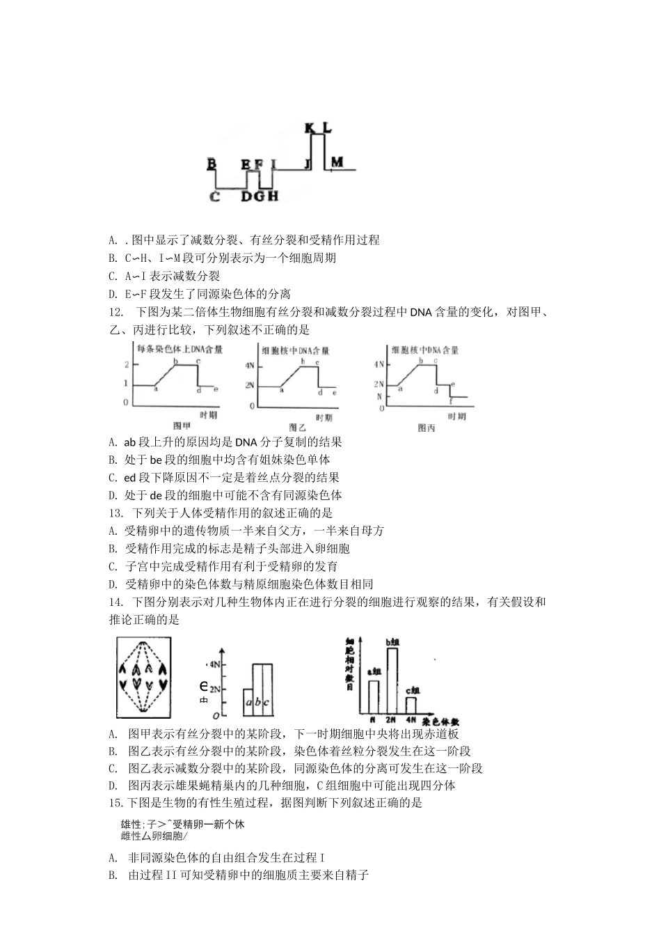 减数分裂受精作用_第3页