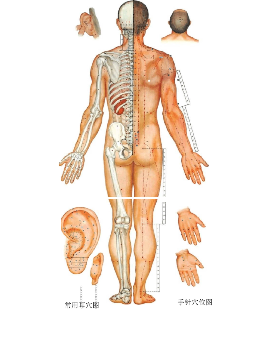 针灸穴位挂图全_高清_第2页
