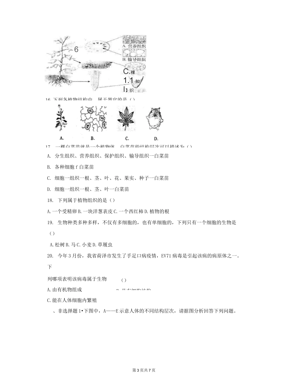 初中生物 生物与细胞练习题及答案_第3页