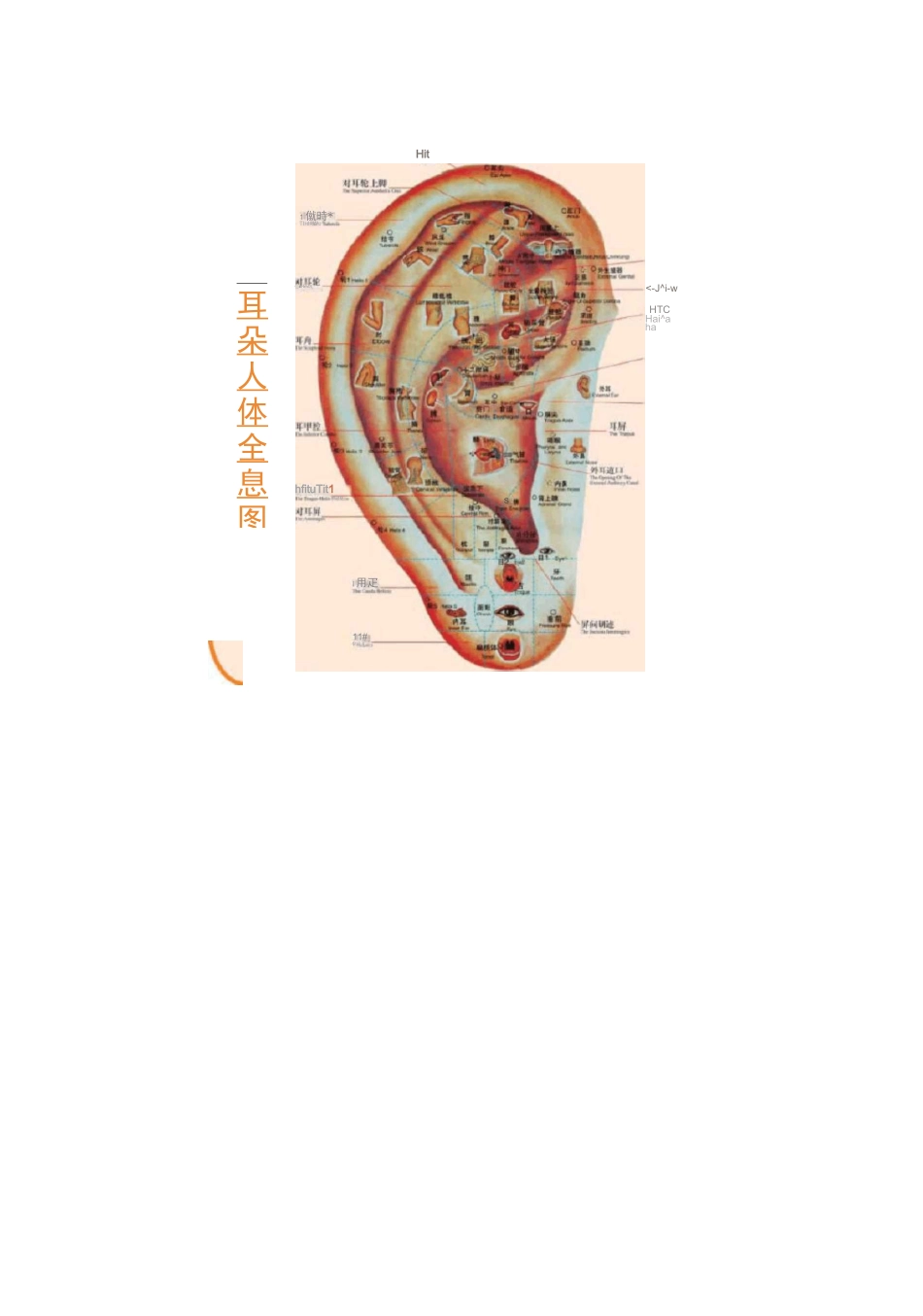人体穴位按摩图谱大全《绝对珍藏_第2页