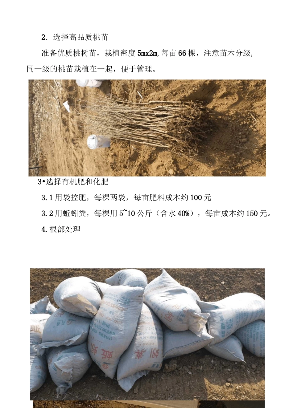 蜜桃高质量栽培技术(田间现场)_第3页