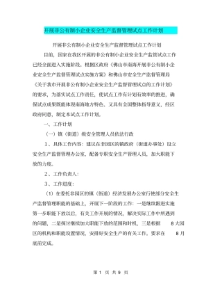 开展非公有制小企业安全生产监督管理试点工作计划【可编辑版】
