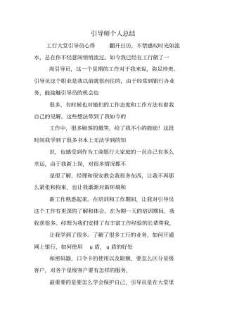 引导师个人总结学习资料