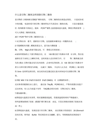 引物二聚体的形成