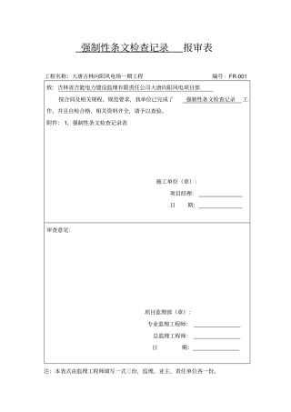强制性条文检查记录表