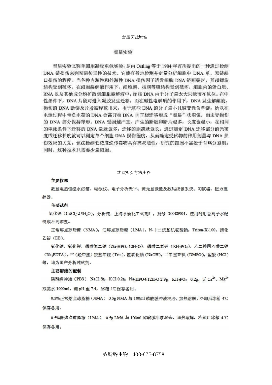 彗星试验原理和方法_第1页