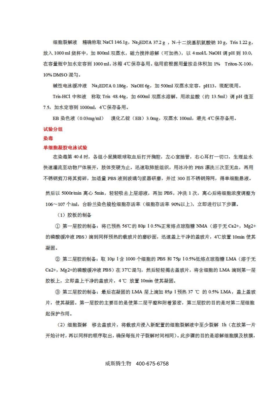 彗星试验原理和方法_第2页