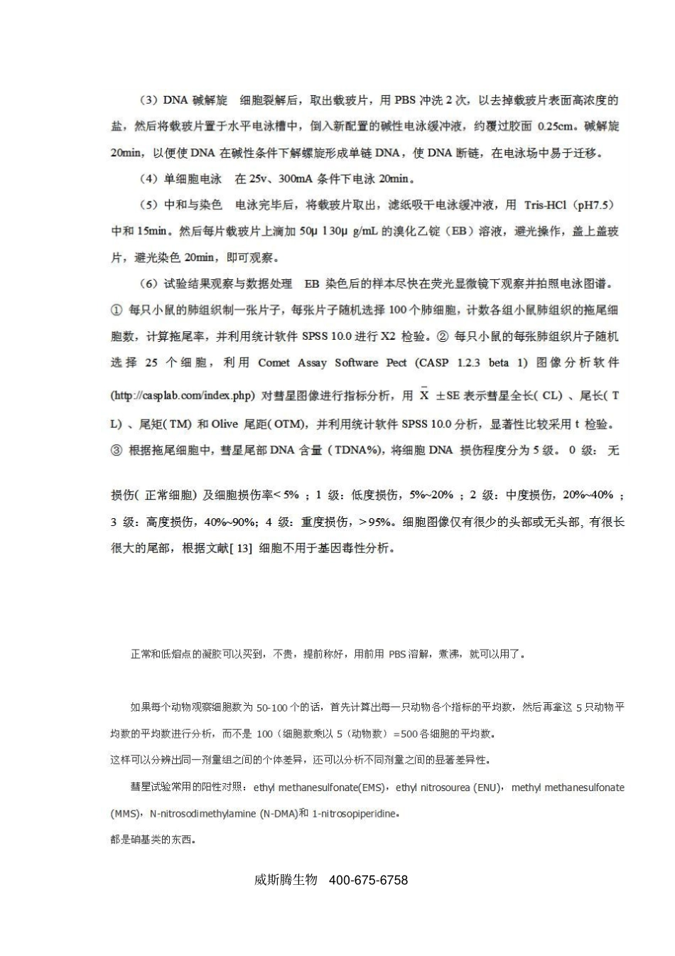 彗星试验原理和方法_第3页