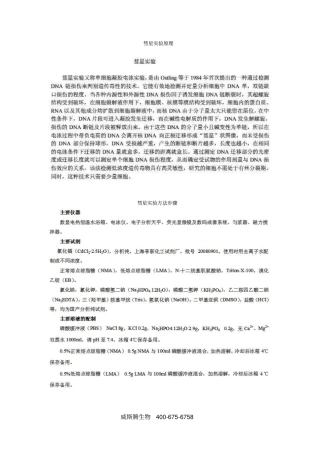 彗星试验原理和方法