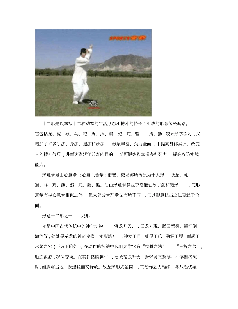 形意十二形拳_第2页