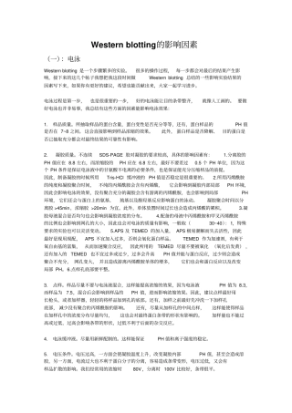 影响Westernblot的因素