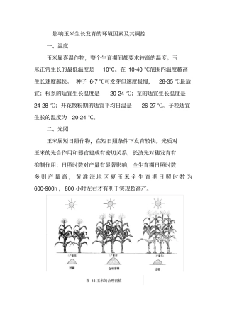影响玉米生长发育的环境因素及其调控