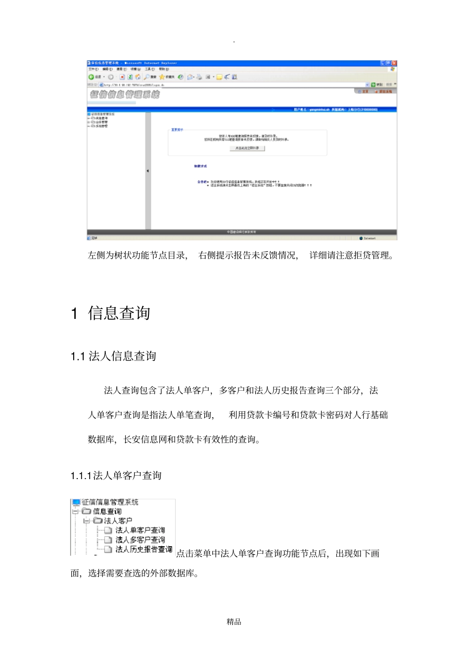 征信信息系统手册_第2页