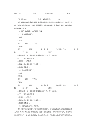 律师见证婚前财产协议
