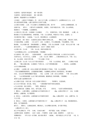 循环系统影像资料