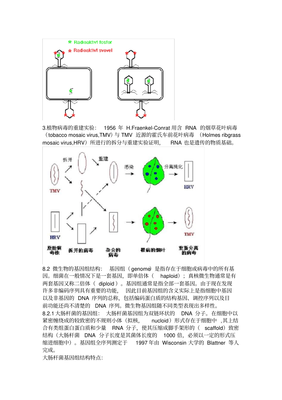 微生物学主要知识点-08微生物的遗传_第2页