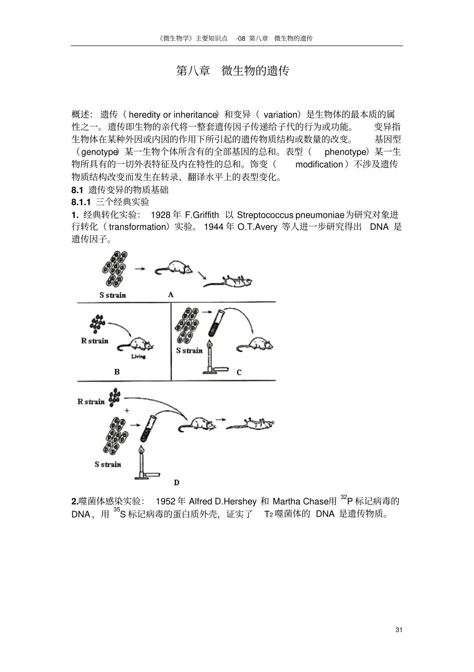 微生物学主要知识点-08微生物的遗传汇总_第1页