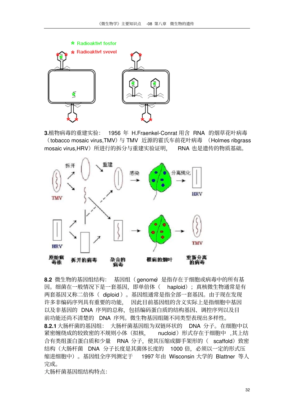 微生物学主要知识点-08微生物的遗传汇总_第2页