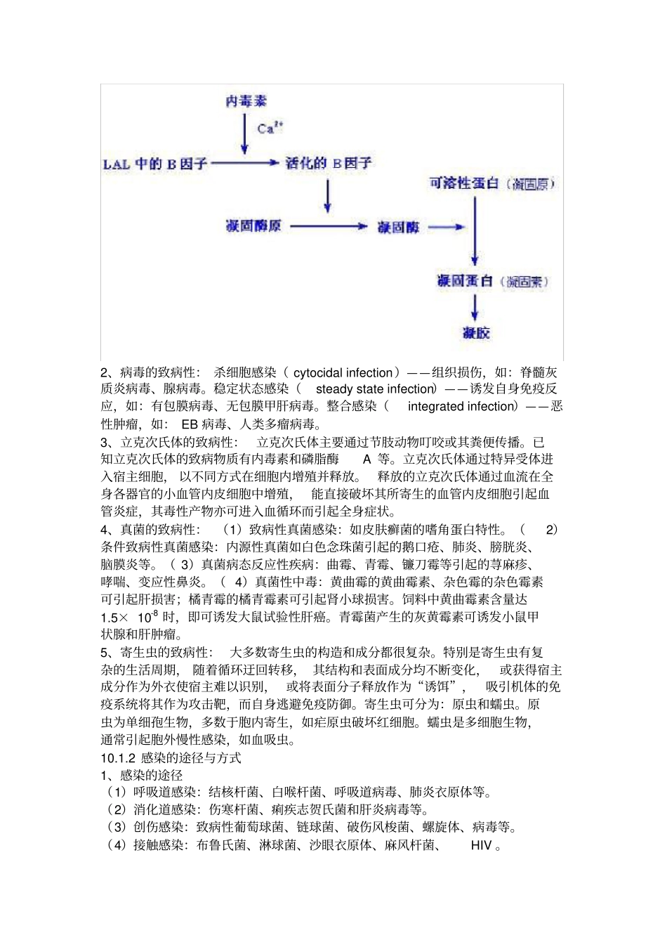 微生物学主要知识点-10传染与免疫_第2页
