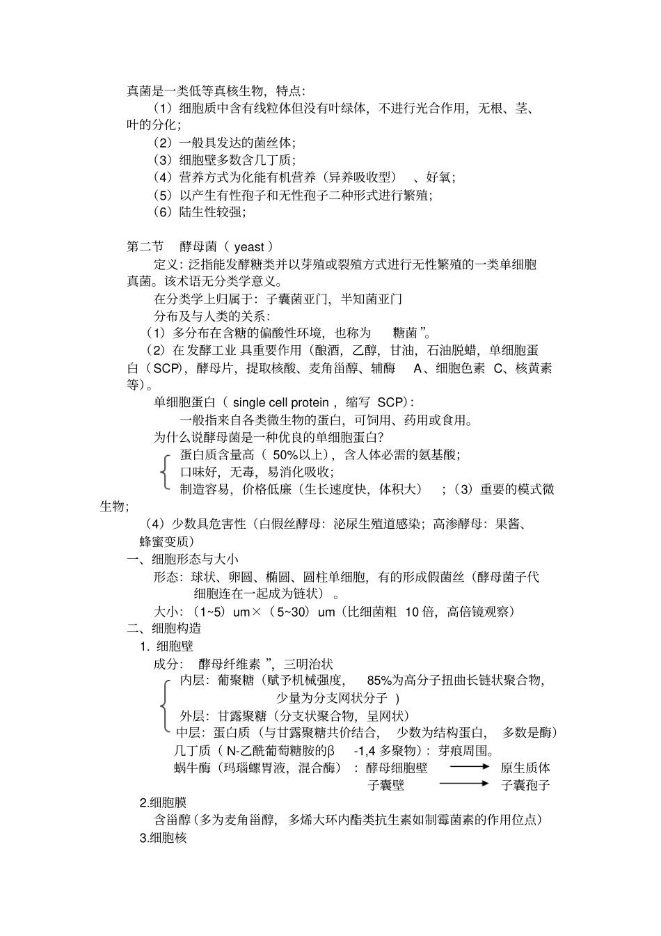 微生物学真核微生物_第3页