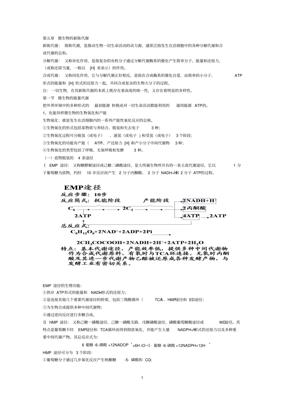 微生物学资料汇总_第1页