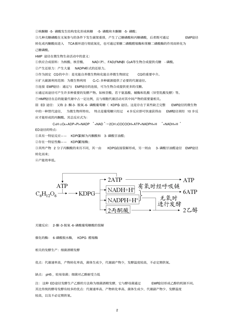 微生物学资料汇总_第2页