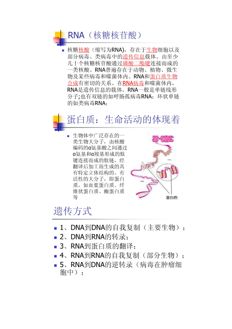 微生物知识点讲解_第3页