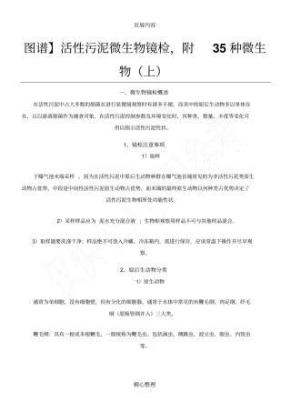 微生物镜检及运行判断