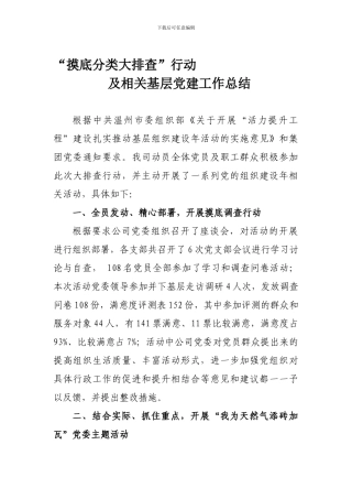 “摸底分类大排查”行动的工作总结