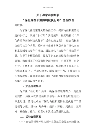 “深化内控和案防制度执行年”自查报告