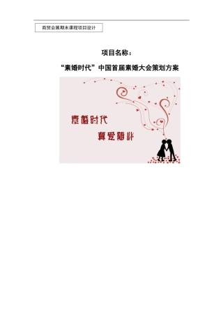 “素婚时代”中国首届素婚大会策划方案