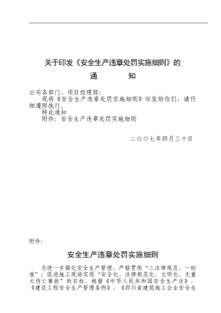 《安全生产违章处罚实施细则》
