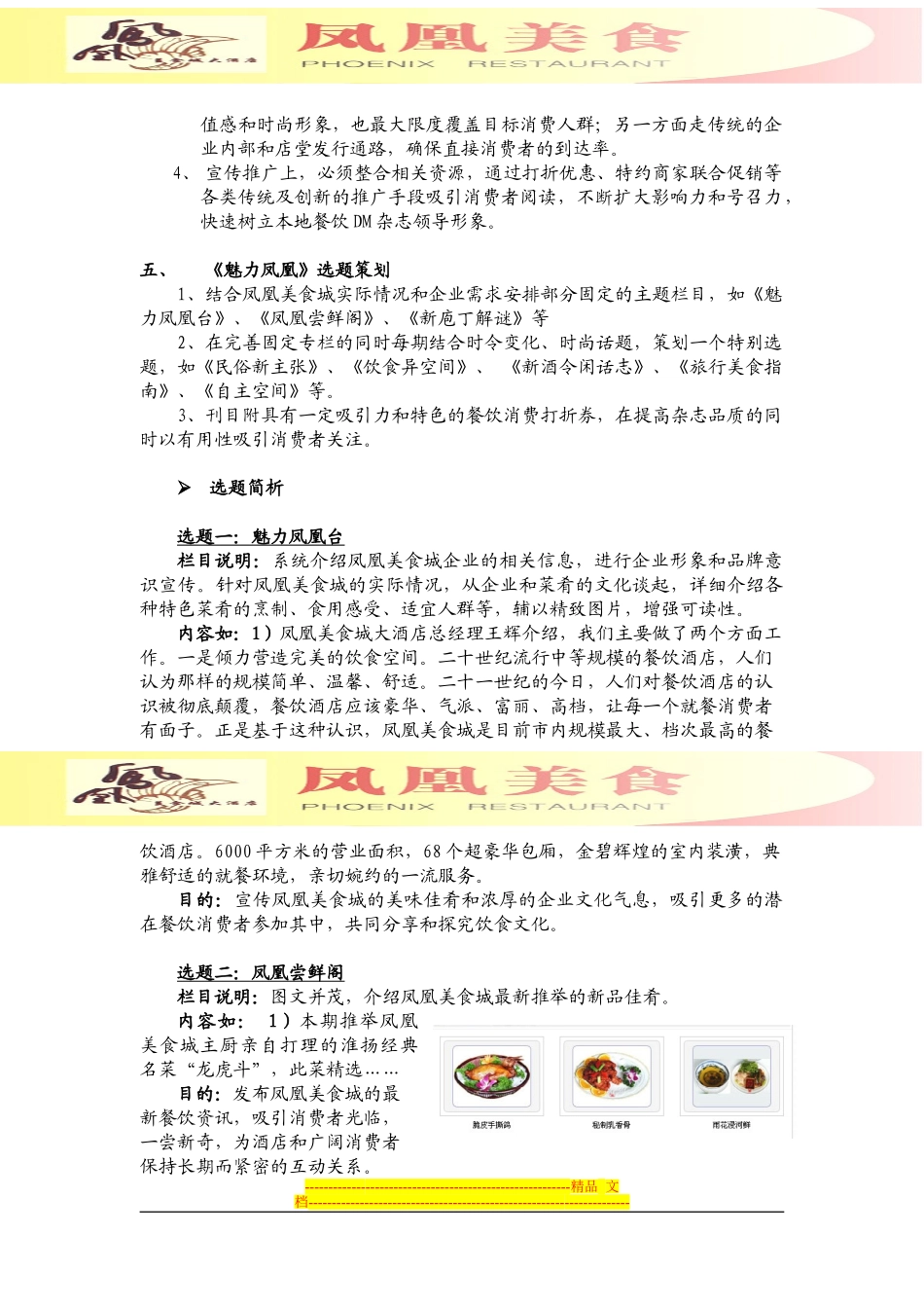 《魅力凤凰》策划方案_第3页