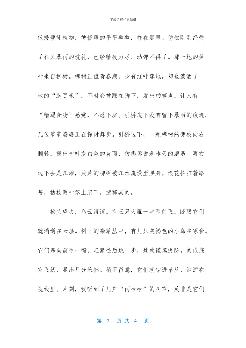 【夏天的一场雨写景美文】-写景作文400字_第2页