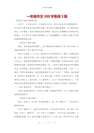 一年级作文300字集锦5篇