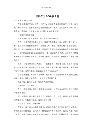 一年级作文300字5篇