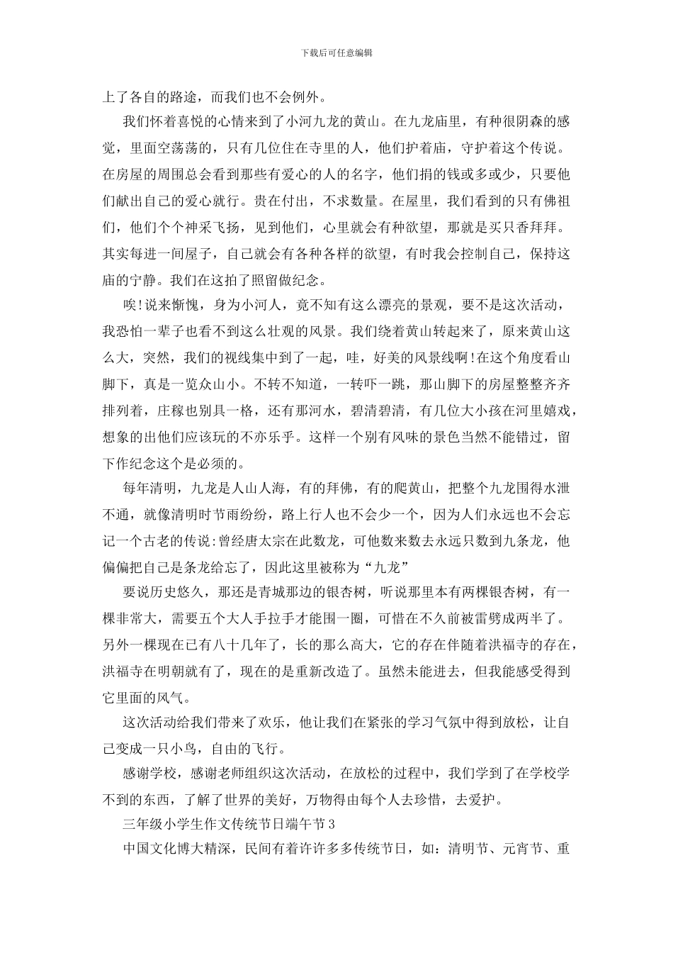 三年级小学生作文传统节日端午节_第2页