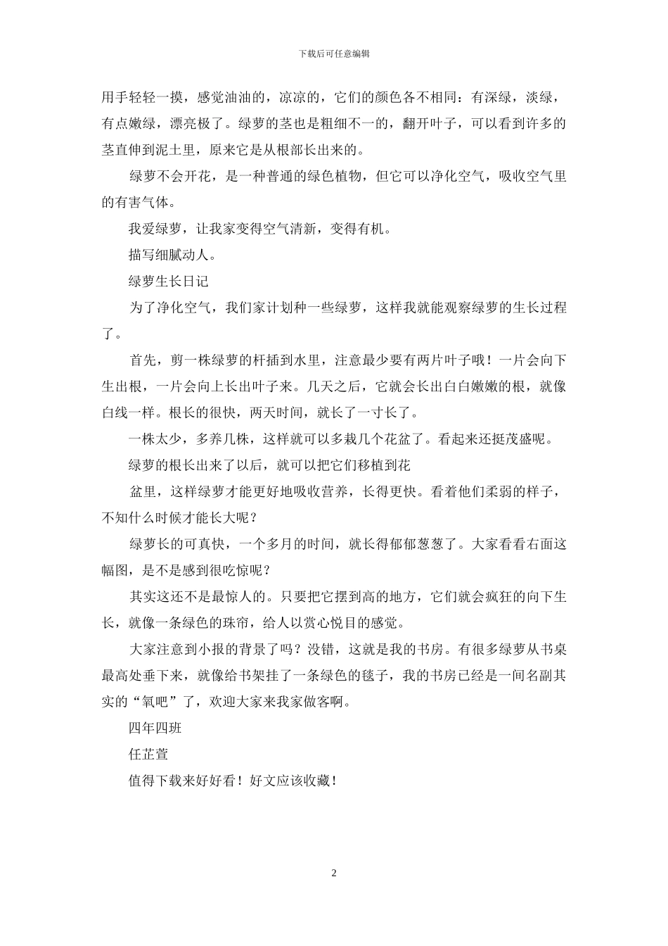 三年级植物绿萝作文400字_第2页